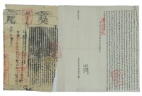 咸豐九年簡厥祥立杜賣盡根水田契藏品圖，第3張