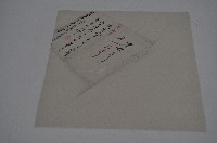 咸豐九年簡厥祥契字藏品圖，第1張