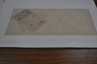 道光二十五年張能利契字藏品圖，第1張