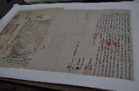 同治元年林生財等三人仝立杜賣盡根水田埔地字藏品圖，第1張