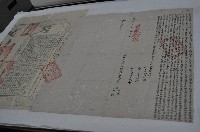 同治二年羅文秀等三人仝立杜賣盡根水田山埔契藏品圖，第1張