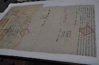 同治三年許皆等二人仝立杜賣盡根水田屋地契字藏品圖，第1張