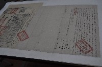 同治五年陳生等四人立杜賣盡根田園埔地契藏品圖，第1張