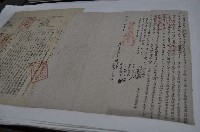 同治八年游重裕等三人仝立杜賣盡根田契字藏品圖，第1張