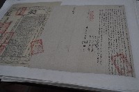 同治五年李阿皮等五人仝立杜賣盡根水田契（契尾）藏品圖，第1張