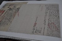 同治十年林祥華等七人立杜賣盡根水田竹圍厝地契字（契尾）藏品圖，第1張