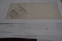 光緒二年林景仁現契丈單藏品圖，第1張