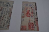 光緒二年葉純執照藏品圖，第1張