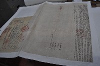 光緒二年張揚清立杜賣盡根水田竹圍屋宇（契尾）藏品圖，第1張