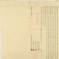 光緒七年胡廖氏立杜賣盡根水田契藏品圖，第1張