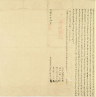 光緒七年胡廖氏立杜賣盡根水田契藏品圖，第3張