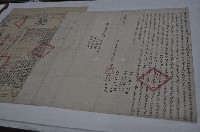 光緒十八年林東盛等四人立杜賣盡根水田山林園埔公山茶祖契（含契尾）藏品圖，第1張