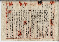 民國三十六年周及土地贌耕契約書藏品圖，第1張