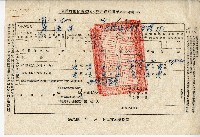 廖溫進西螺鎮農會臺灣省糧食局收購大中戶餘糧聯單藏品圖，第19張