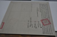 乾隆五十四年何魏氏等二人立杜賣盡根契藏品圖，第1張