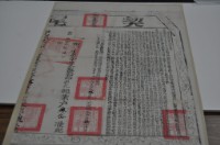 乾隆五十四年何魏氏等二人立杜賣盡根契藏品圖，第4張