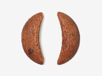 筊杯藏品圖，第7張