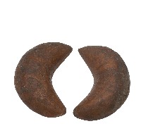 筊杯一對藏品圖，第2張