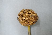 清代雙龍環塔之鎏金髮簪藏品圖，第3張