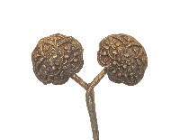 金屬製雙頭雕花髮釵藏品圖，第2張