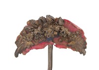 金屬製半月型雕花髮釵髮釵一對藏品圖，第1張