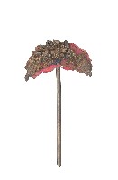 金屬製半月型雕花髮釵髮釵一對藏品圖，第2張