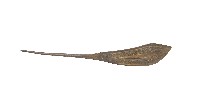 金屬製雕花髮釵一對藏品圖，第3張
