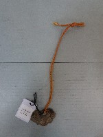 長命富貴鎖片藏品圖，第1張