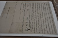 光緒十九年十月頂朥□庄楊炎枝、楊葛、楊全胎借銀字藏品圖，第1張