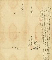 道光七年大甲東社番天送郡乃立及風水字藏品圖，第1張