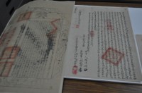 光緒八年林祥記立杜賣盡根田契字（含契尾）藏品圖，第1張