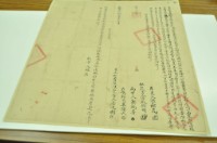 嘉慶二十一年彬立杜賣儘根契字藏品圖，第1張