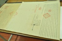 光緒八年蘇永安立杜賣根水田埔園屋宇契（含契尾）藏品圖，第1張