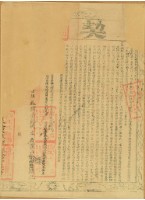 咸豐十一年楊烏獅立杜賣盡根斷絕水田埔地契字（含契尾）藏品圖，第4張