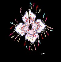 花卉刺繡雲肩藏品圖，第1張