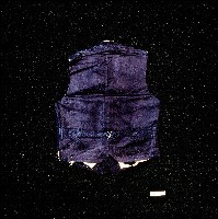 臺灣男性黑色西式背心藏品圖，第2張