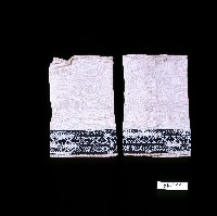 南方刺繡式弓鞋飾褲藏品圖，第1張