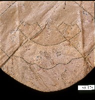 日式櫻花菱紋扇形刺繡肚兜藏品圖，第2張