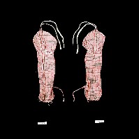 黑白格相間手臂護套藏品圖，第1張