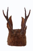 布農族勇士帽藏品圖，第1張