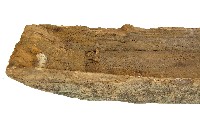 達悟族魚盤藏品圖，第4張