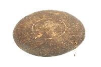 達悟族木盤藏品圖，第2張