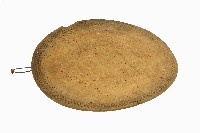 達悟族木盤藏品圖，第1張