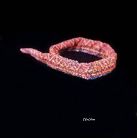 排灣族帽藏品圖，第1張