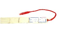 賽夏族古貝殼項鍊藏品圖，第3張
