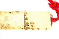 賽夏族古貝殼項鍊藏品圖，第6張