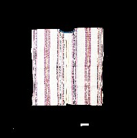 賽夏族麻布方衣藏品圖，第1張