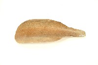 阿美族檳榔扇藏品圖，第1張