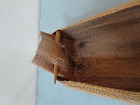 阿美族祭典湯碗藏品圖，第5張