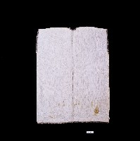 阿美族長衣藏品圖，第2張